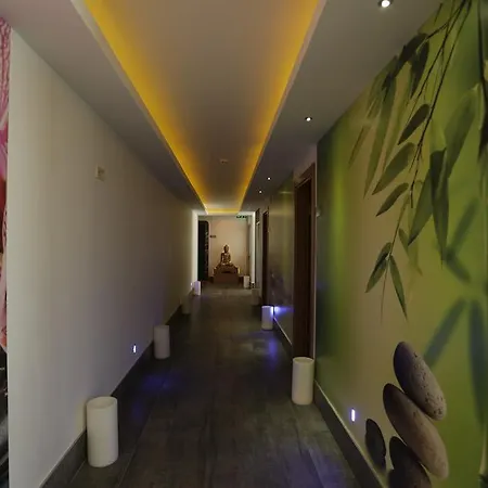 阿依达俱乐部酒店 4* 马尔马里斯